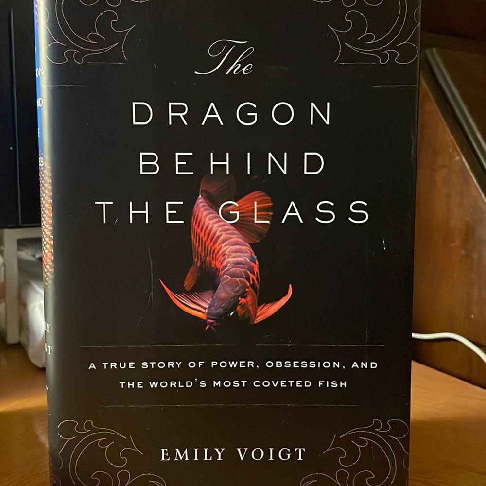 The Dragon behind the Glass. Hardcover